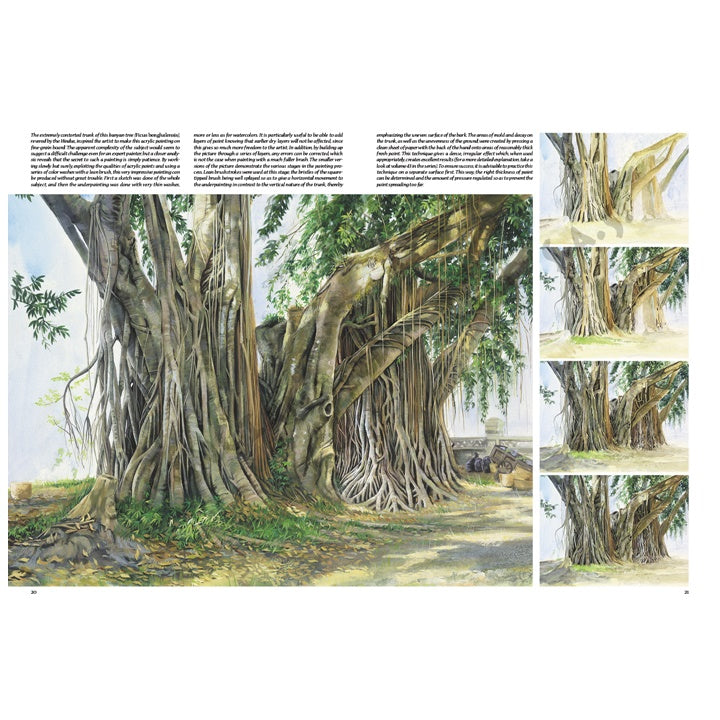 Leonardo Collection 45 tekenboek – Bomen en bladeren – afbeelding 5