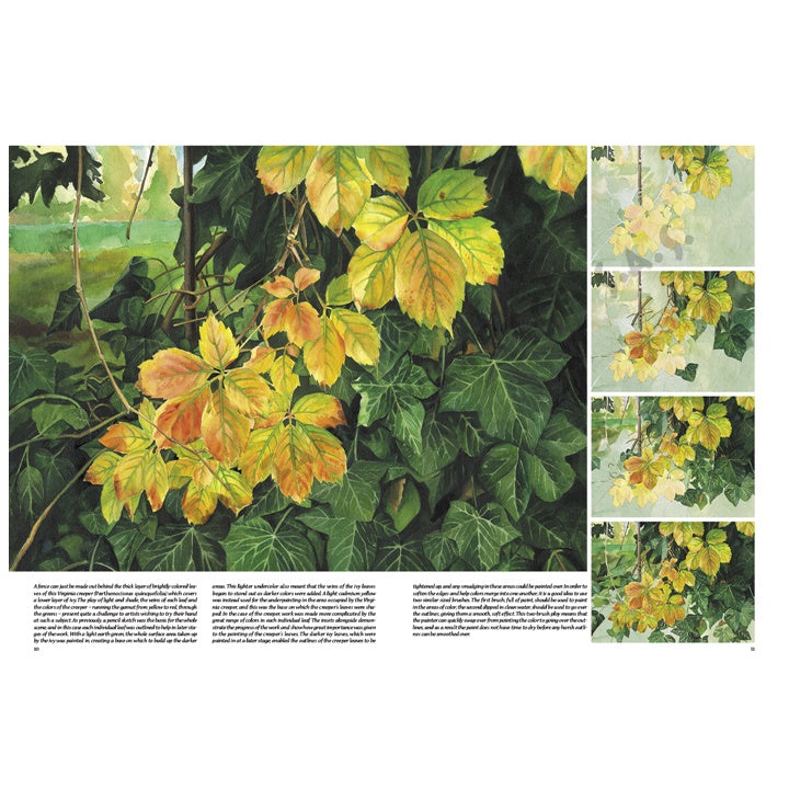 Leonardo Collection 45 Trees and Leaves — image 2