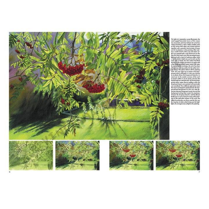 Leonardo Collection 45 Trees and Leaves — image 6