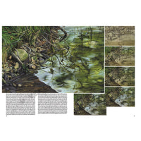 Boek Leonardo Collection 46 – Water schilderen, 24,4 × 34,4 cm – afbeelding 6