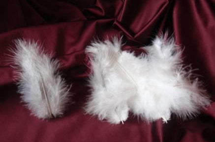 Marabu Feathers - Set of 17
