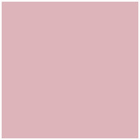 Pentart Art Mica pigmentpoeder 9 g, parelmoer – afbeelding 3