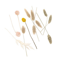 Droogbloemenboeketje Beige Touch, 20 cm – DP Craft