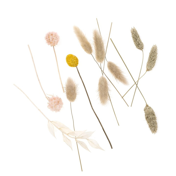 Droogbloemenboeketje Beige Touch, 20 cm – DP Craft