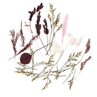 Droogbloemenboeketje Burgundy Queen, 20 cm – DP Craft – afbeelding 2