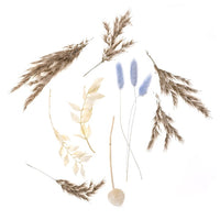 Droogbloemenboeketje Savannah Blue, 20 cm – DP Craft