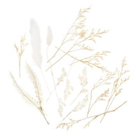 Droogbloemenboeketje Vanilla Dream, 20 cm – DP Craft – afbeelding 2