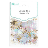 Pailletten sneeuwvlok met gaatje DP Craft, 15 g