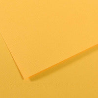 Pastel Paper CANSON Mi-Teintes A4 160 g/m² - 25 Sheets – Flannel Gray 122