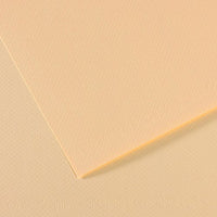 Pastel Paper CANSON Mi-Teintes A4 160 g/m² - 25 Sheets – Ivory 111