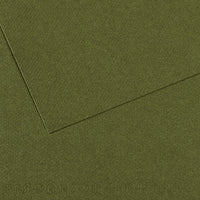 Pastel Paper CANSON Mi-Teintes A4 160 g/m² - 25 Sheets – Ivy 448