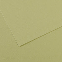 Pastel Paper CANSON Mi-Teintes A4 160 g/m² - 25 Sheets – Light Green 480
