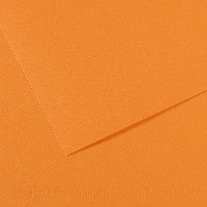 Pastel Paper CANSON Mi-Teintes A4 / 160 g/m² – 50 Sheets – Buff 384
