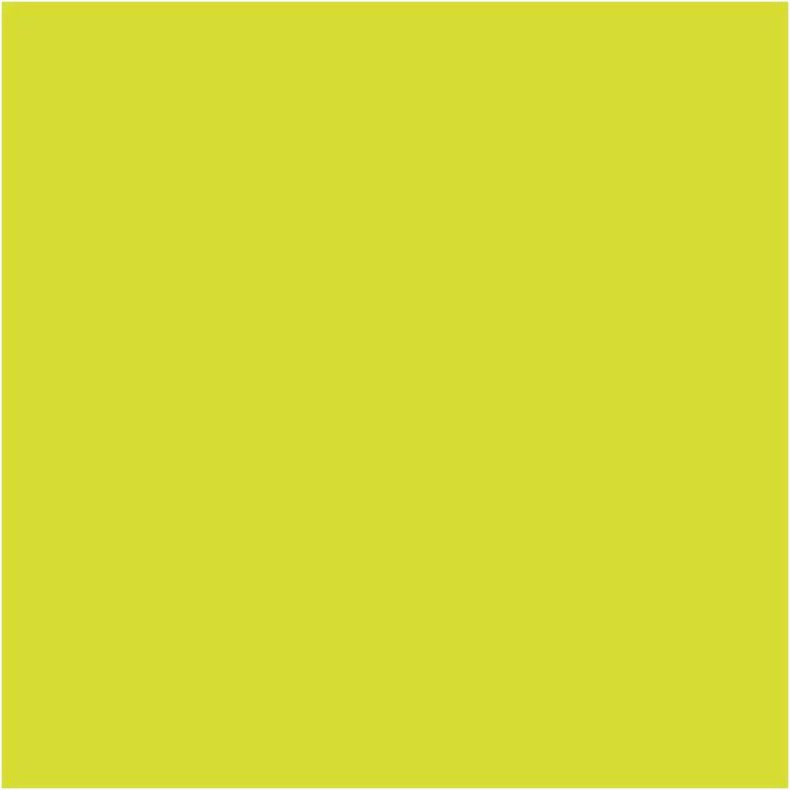 Pentart Glow-in-the-Dark Contour Paint 20 ml