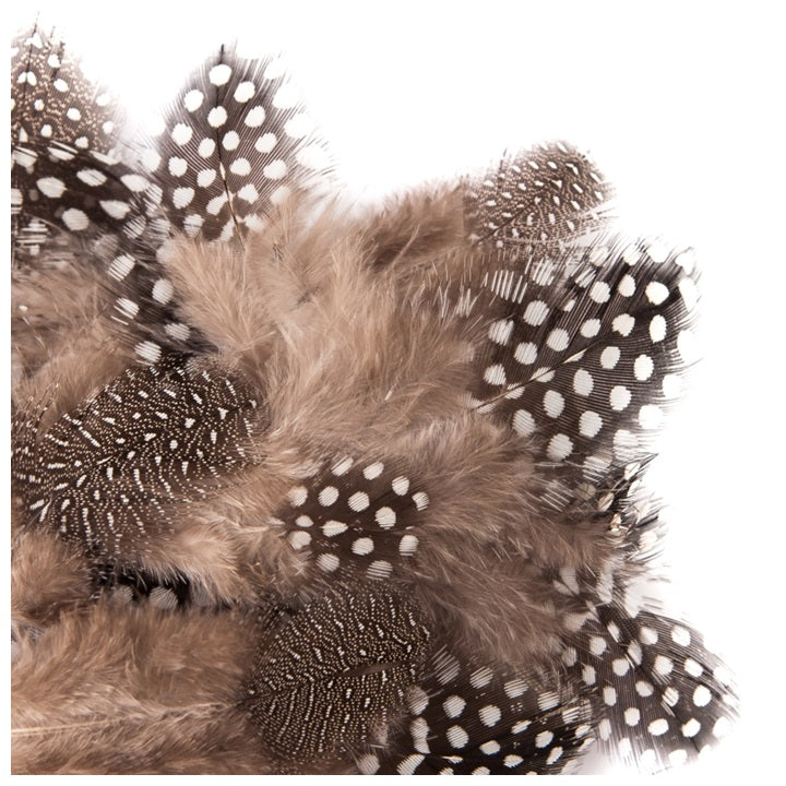 DP Craft natuurlijke kwartelveren 5–12 cm, 5 g