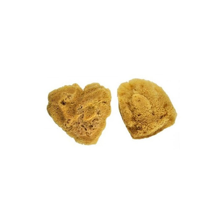 Royal & Langnickel natuurlijke zeesponzen groot, 2 stuks