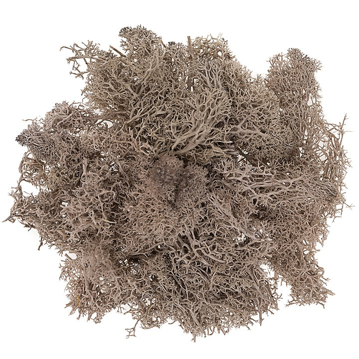 Rendiermos gestabiliseerd 30 g – DP Craft – afbeelding 3