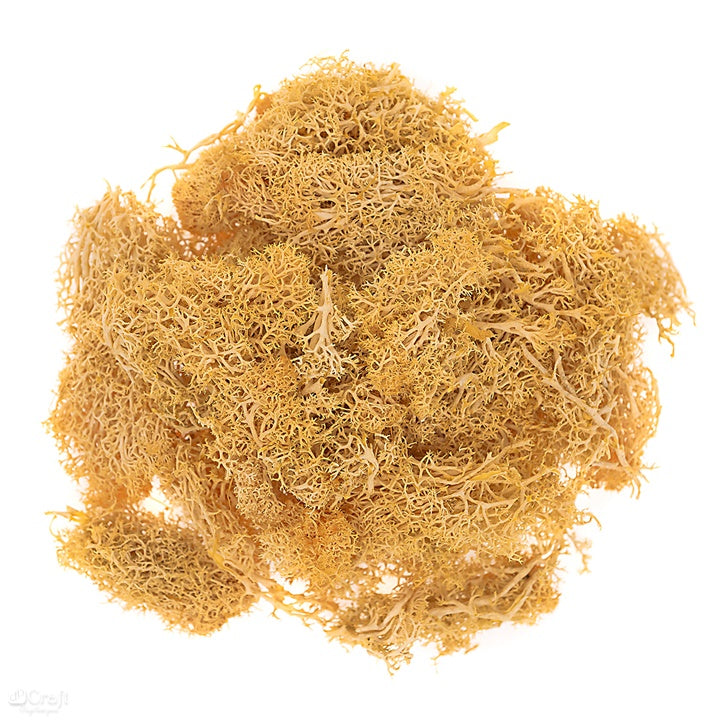 Rendiermos gestabiliseerd 30 g – DP Craft – afbeelding 4