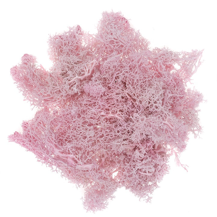 Rendiermos gestabiliseerd 30 g – DP Craft – afbeelding 5