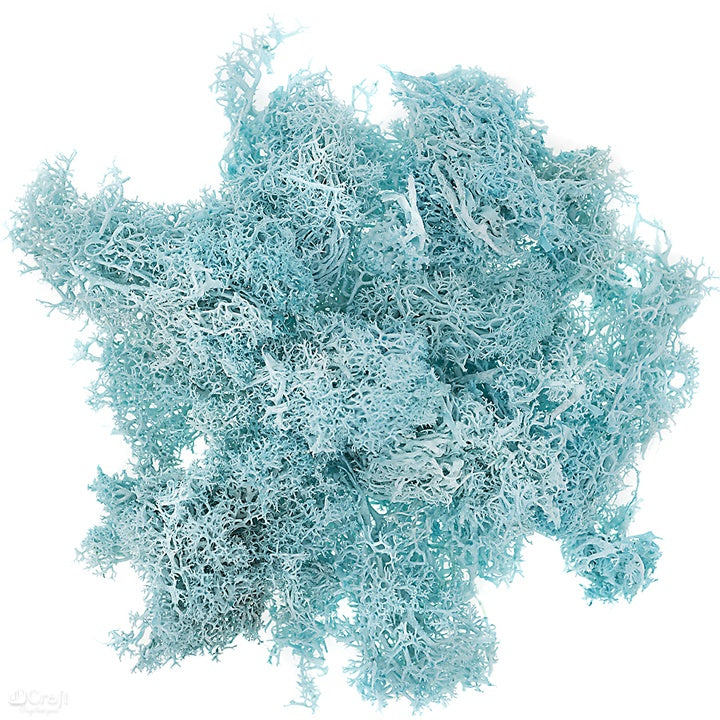 Rendiermos gestabiliseerd 30 g – DP Craft – afbeelding 2