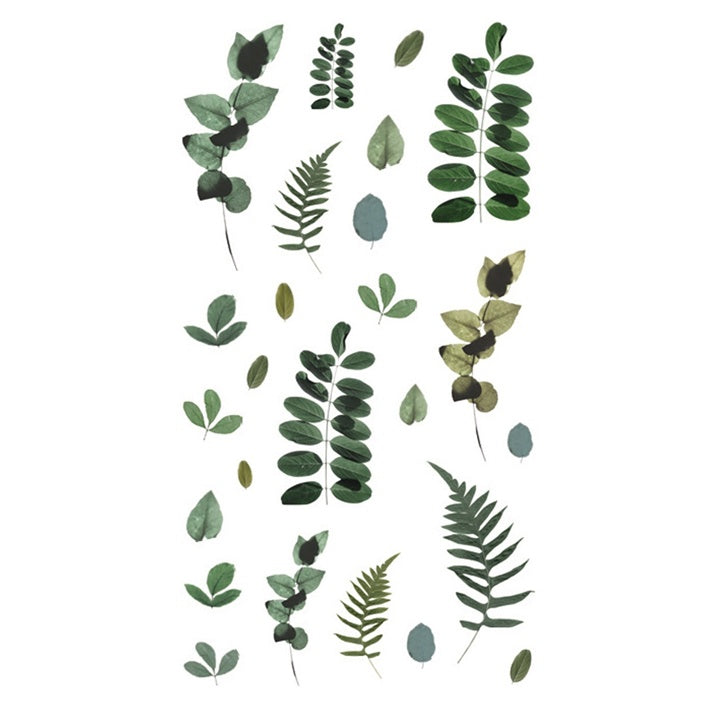 DP Craft PVC-stickers met bladeren, 33 stuks – afbeelding 2