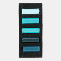 Rembrandt pastelkrijt Cool Greens, set van 5 halve pastels