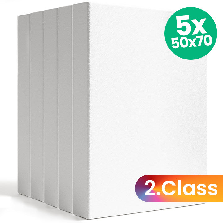 3D-schildersdoekenset 5 stuks 50 × 70 cm, tweede keus