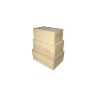 Houten kisten met deksel om te decoreren, set van 3