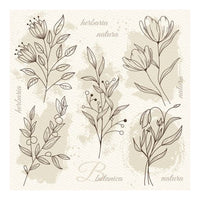 Nassau decoupageservet Flower Illustration beige, 33 × 33 cm