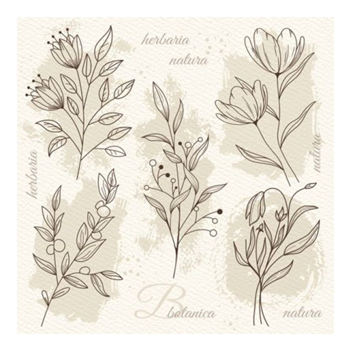 Nassau decoupageservet Flower Illustration beige, 33 × 33 cm