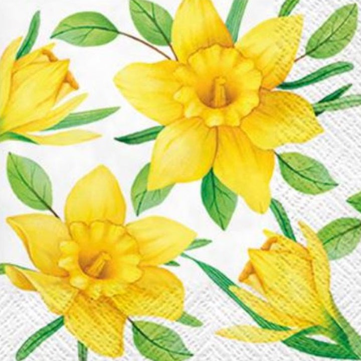 Nassau decoupageservet Daffodils in Bloom, 25 × 25 cm