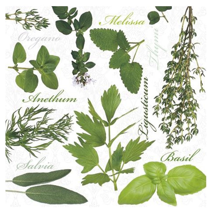 Decoupageservet Herbs 33 × 33 cm