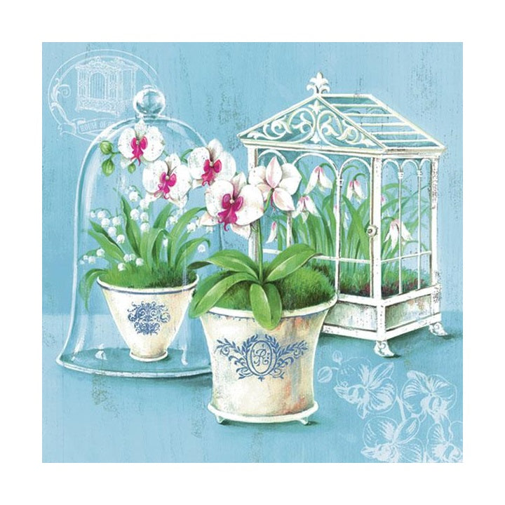 Servet voor decoupage Nassau orchidee, 33 × 33 cm