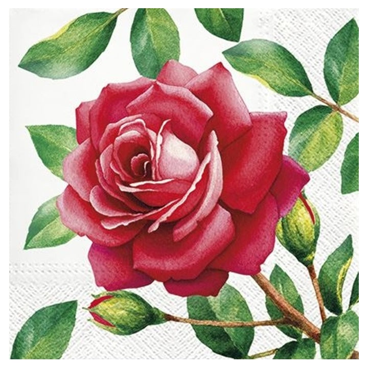 Nassau decoupageservet Special Rose 33 × 33 cm