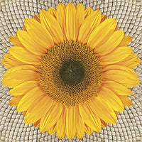 Decoupageservet Nassau Sunflower on Seeds 33 × 33 cm