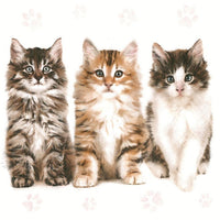 Nassau decoupageservet Tree Beautiful Cats, 33 × 33 cm