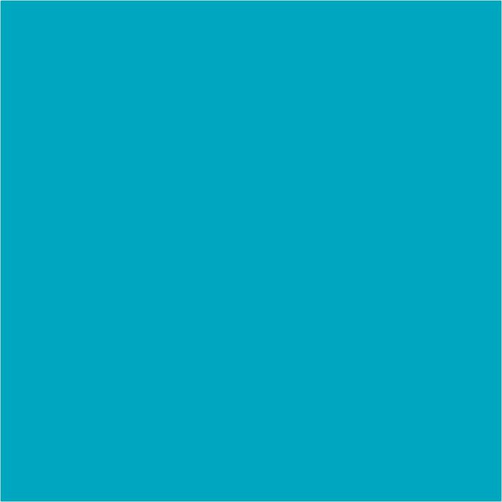 Pentart vloeibaar pigment op alcoholbasis, 10 ml – afbeelding 5