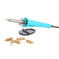 DP Craft houtbrander met 5 verwisselbare punten, 30 W